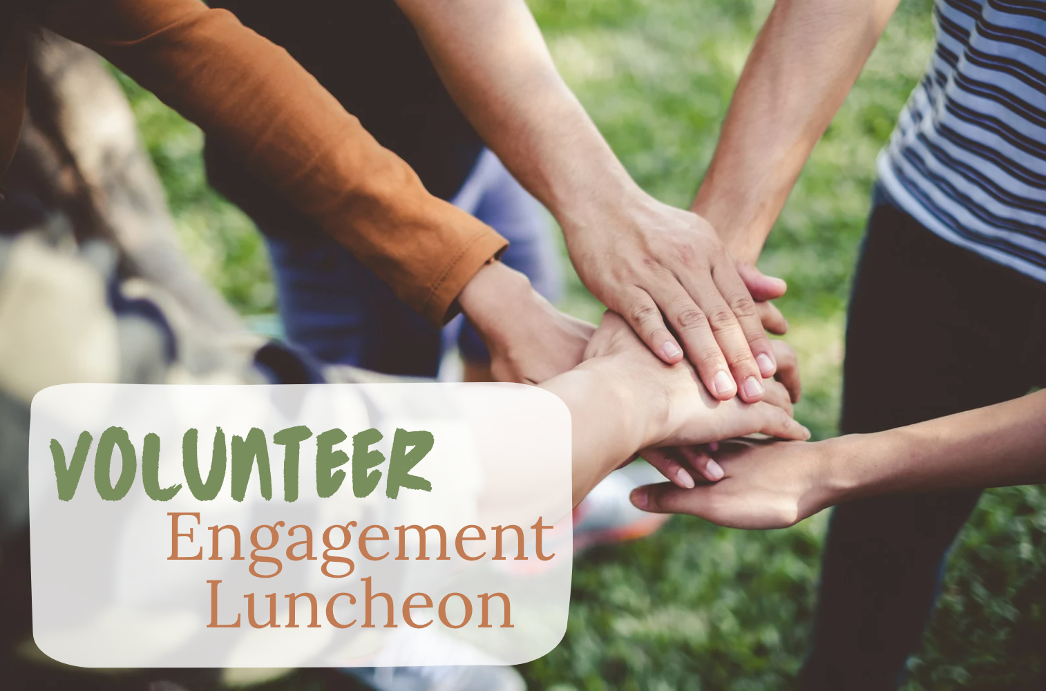Volunteer Engagement Luncheon